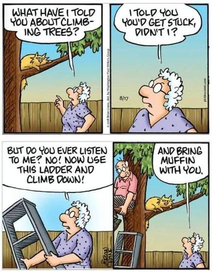 Posted media