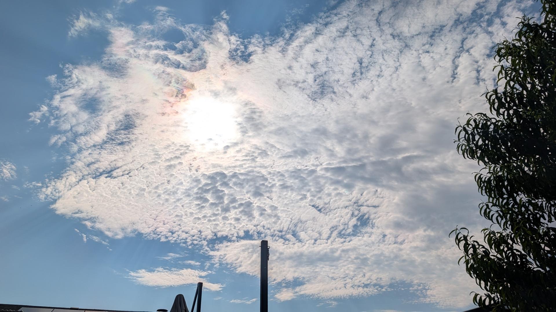 A photo of clouds in the sky, with the edge of a peach tree along the right edge. The roof of a house and the tops of a couple of poles line the bottom. The blue sky pops along the left edge, with cirrocumulus clouds filling most of the frame. The sun shines through the layer of clouds, giving an iridescent halo. Taken in West Jordan, Utah.