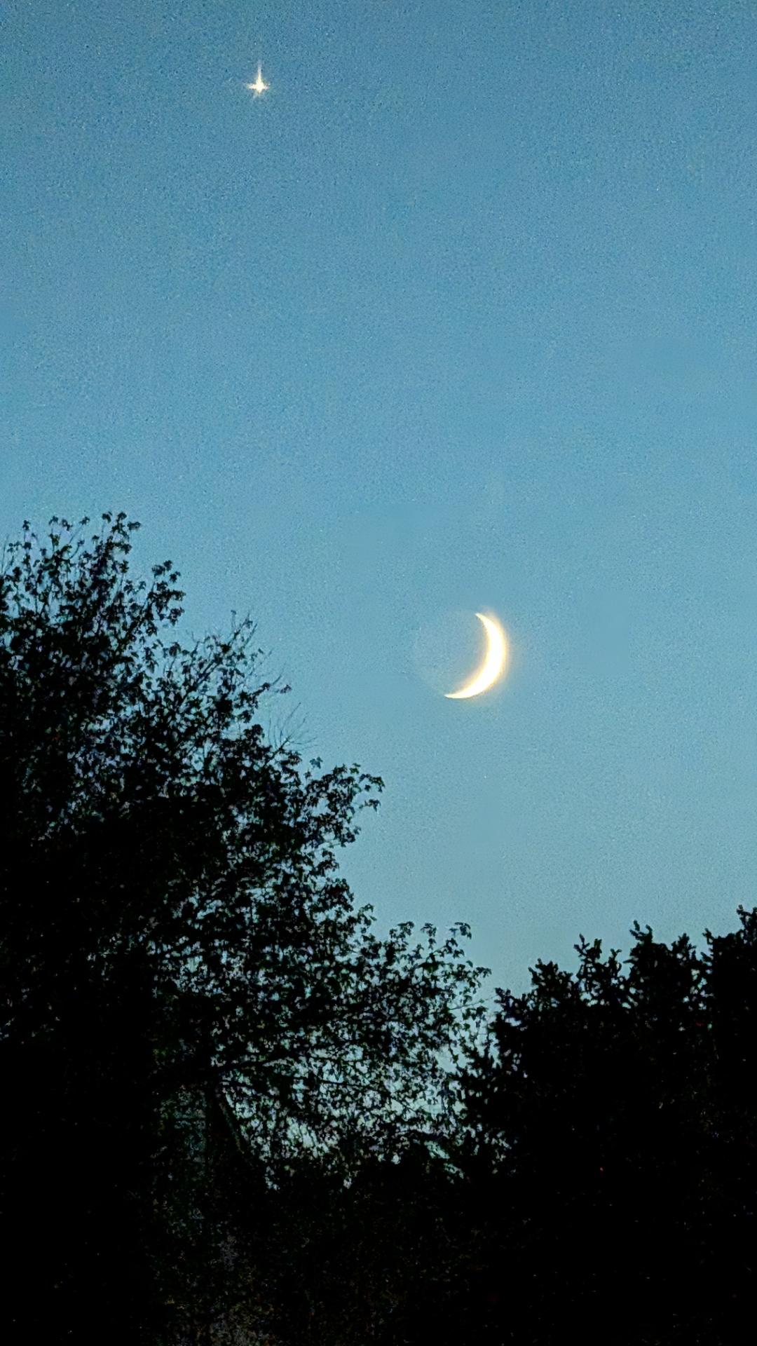 A photo of the waxing crescent moon and Venus shining brightly above to the left, over the tops of urban trees at twilight. The siding of a home can be made out through a tree on the left when examined closely. The fading blue sky has just given way to allow the ghost of the moon to appear through the sliver of her bright reflection, at 13% full. Taken in West Jordan, Utah.