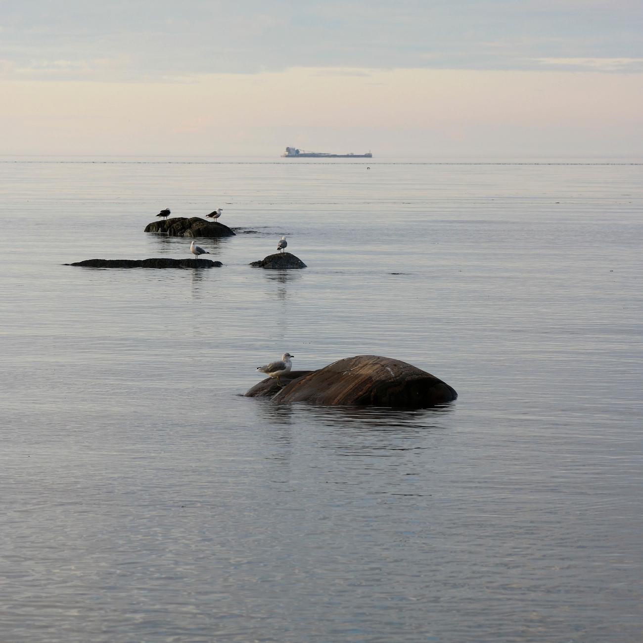 Photograph of five gulls resting on four rocks barely jutting out of the calm, very pale blue sea. Behind in the center, a large cargo ship crosses the horizon, under a sunset sky with very soft colors of yellow and pink.

Photographie de cinq goélands posés sur quatre rochers dépassant à peine de la mer calme et bleu très pâle. Derrière au centre, un grand cargo traverse l'horizon, sous un ciel de coucher de soleil aux couleurs très douces de jaune et de rose.