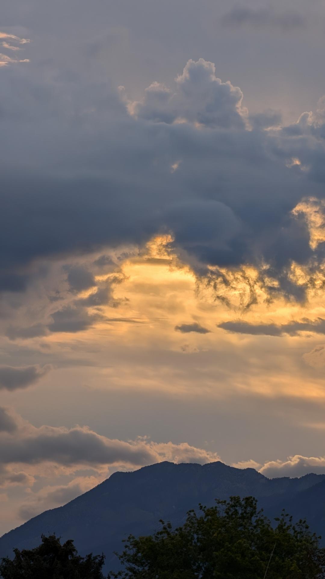 A sunrise clouds photo, facing east as the sun comes up from behind the Wasatch Mountains. The tops of green trees frame the bottom edge of this landscape photo, with the mountains showing through shadow, rising above the trees in the far distance. The rising sun has added enormous depth to the numerous clouds, showing the density through shades of grey, and the edges highlighted with pale pink and white strokes of light. Near top is a wide, thick, grey cloud, and the tiny tendrils dropping below it look almost like roots of a plant spreading down. Taken in West Jordan, Utah.