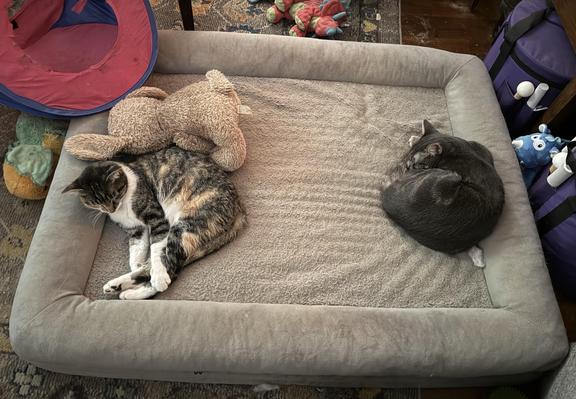 Posted media